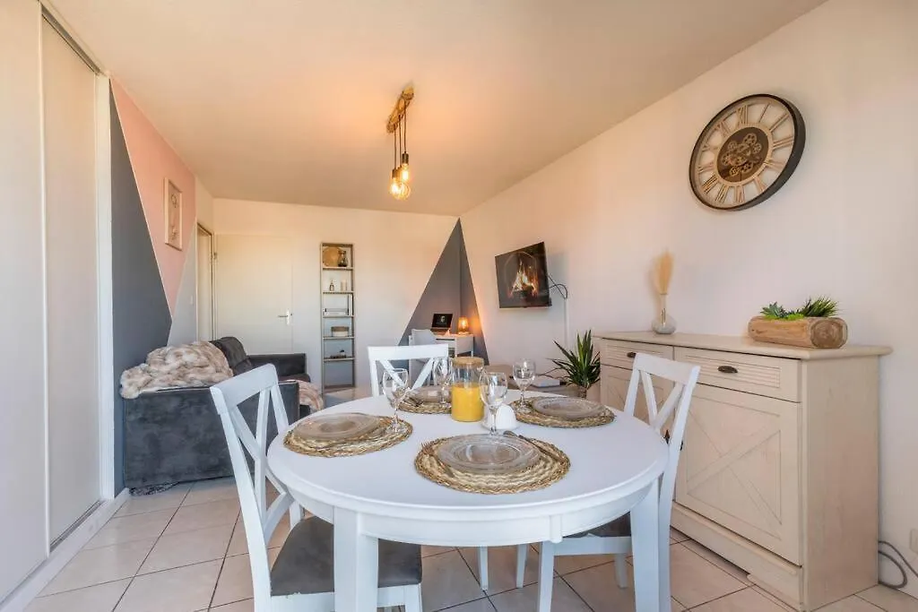 Splendid T2 Piscine En Ete Avec Terrasse, Airbus Et Aeroport Apartman Toulouse