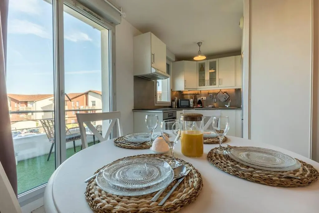 Splendid T2 Piscine En Ete Avec Terrasse, Airbus Et Aeroport Apartman Toulouse